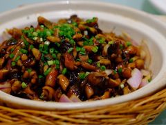 -久宴·天目湖大鱼头(恐龙园店)