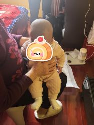 -上海小小宝婴儿理胎发胎毛笔