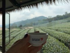 -优游吧斯邹族文化部落