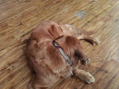 -兰纳泰式spa(古城店)