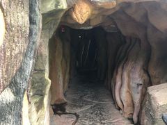 -磐安十八涡风景区