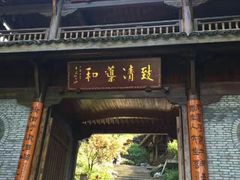 -龙井村
