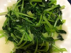 -茶马古道·野生菌清汤黄牛肉(沙溪店)