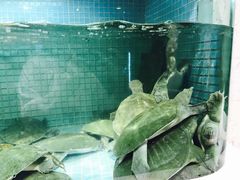 -徐记海鲜·宴会(大唐西市|丰庆店)