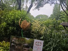-秋霞圃