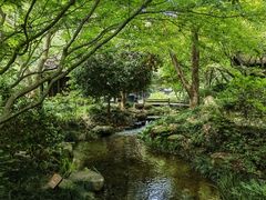 -中国茶叶博物馆(双峰馆区)