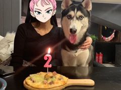 -百好乐宠物友好餐厅(朝外大街店)