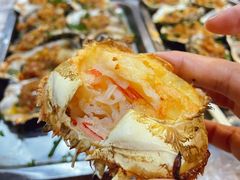 -爱蚝屋