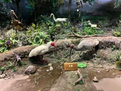 -陕西自然博物馆