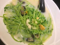 上汤豆苗-川里谈·川味小馆(北京路店)