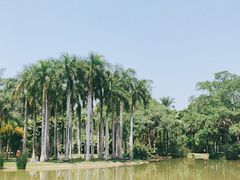 -中国科学院西双版纳热带植物园