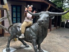 -上海佘山国家森林公园西佘山园