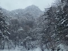 -秦岭风景区