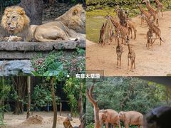 -广州长隆野生动物世界