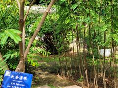 -中国科学院西双版纳热带植物园