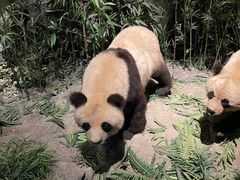 -武汉园博园(武汉自然博物馆)