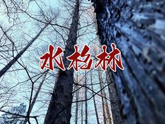 -国家植物园