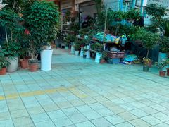 -武汉花鸟市场