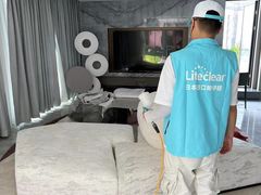 -Liteclear日本进口强效除甲醛检测治理(旗舰店)