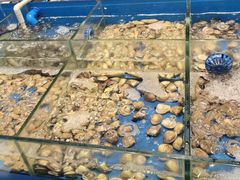 -福州西湖大酒店·怡湖咖啡厅