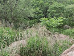 -碓臼峪自然风景区