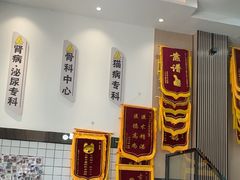 -半岛宠物医院24小时(科华中路店)