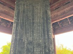 -观潮胜地公园