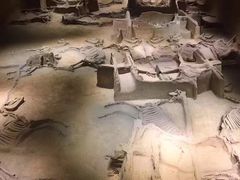 -洛阳周王城天子驾六博物馆