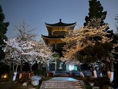 -东湖生态旅游风景区