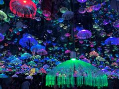 -梵高星空艺术馆(北京旗舰店)