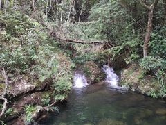 -雁南飞茶田景区