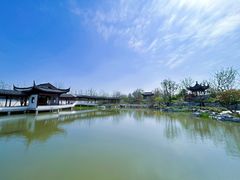 -上海滨江森林公园