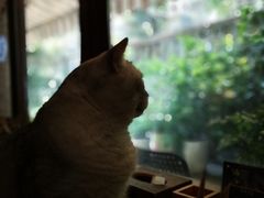 -隅cafe(傅厚岗店)