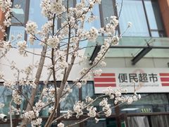 -山东省千佛山医院