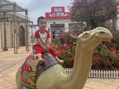 -三亚海昌梦幻海洋不夜城