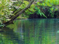 -贵阳市花溪国家城市湿地公园
