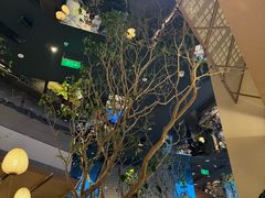 -桂满陇·海市蜃楼·黑金(国金店)