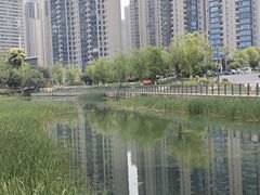 -梅溪湖城市岛