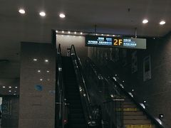 -金陵图书馆