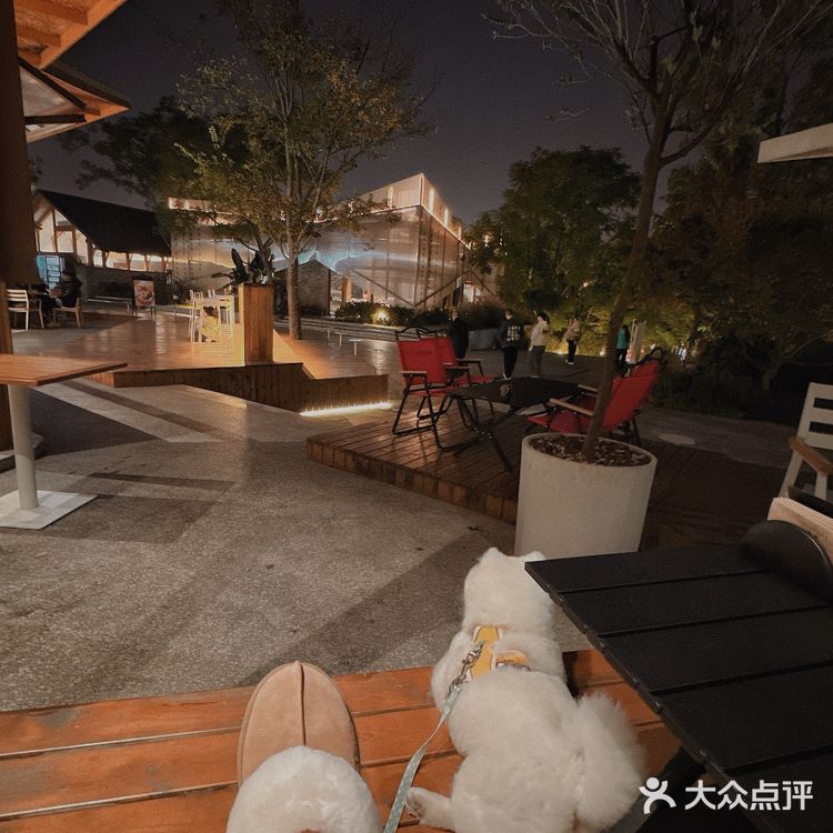 周末快乐时光|哈吉米配甜品🍮