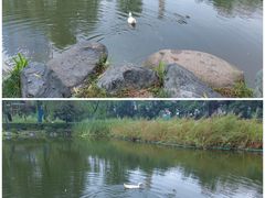 -木塔寺遗址生态公园