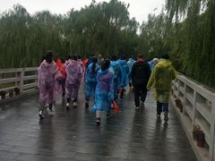 -大兴滨河森林公园