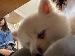 -零几体验diy皮具工作室(振业城店)