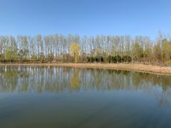 -东郊湿地公园