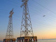 -宝安西湾红树林湿地公园