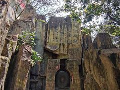 -铁山坪森林公园