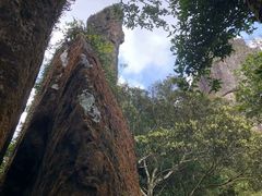 -七仙岭温泉国家森林公园