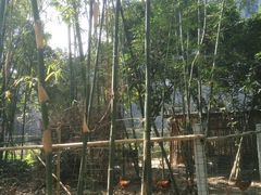 -开平碉楼文化旅游区马降龙景区