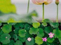 -东钱湖旅游度假区