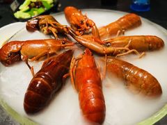-红盔甲·小龙虾(人民广场店)